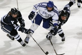 科特迪瓦男篮在非洲锦标赛中展现实力，争夺佳绩