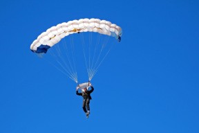 公牛球队文化建设走进校园赢得各界认可，公牛球队介绍