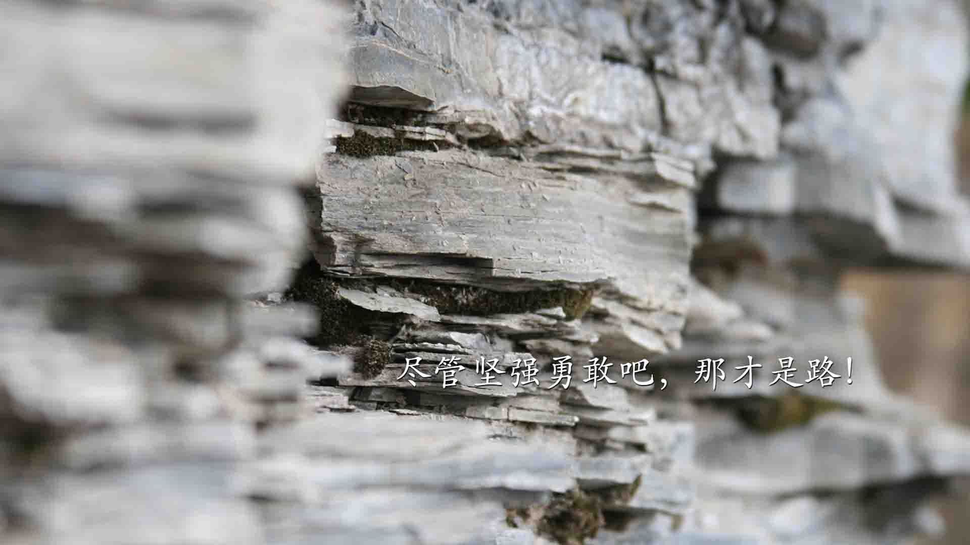 乐鱼（中国）体育官方网站-北京鸭赛季目标明确全力冲击前列，北京鸭苗图片