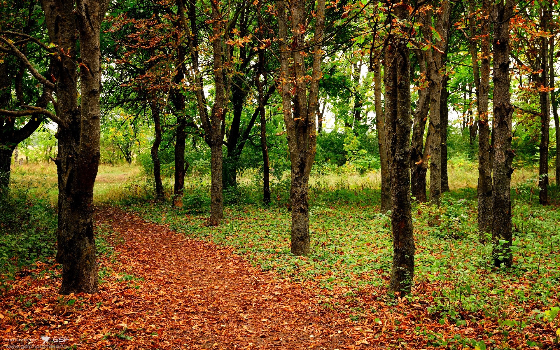 Leyu Sport登录入口-恩波利强调战术纪律压制对方进攻线路，恩波利里奇