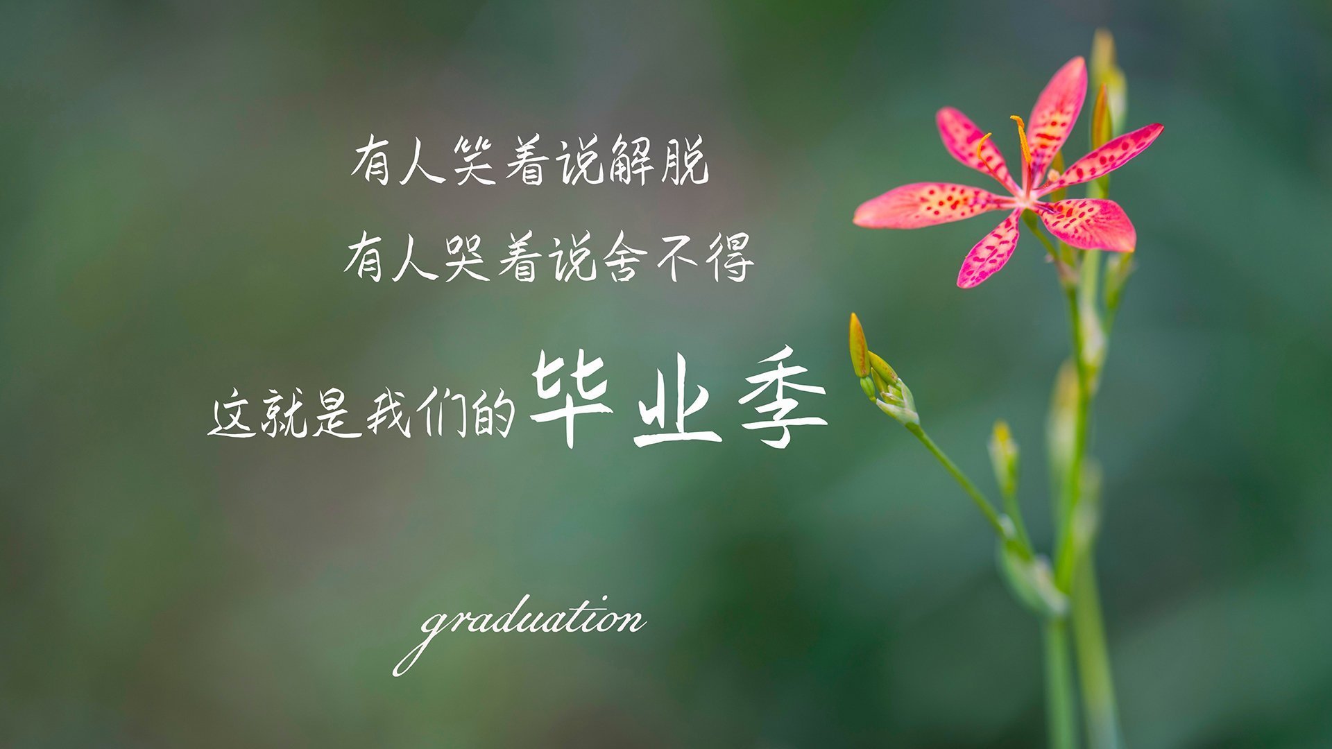 leyu.com-世界杯燃爆全场：精彩场面不停歇！，世界杯锦集