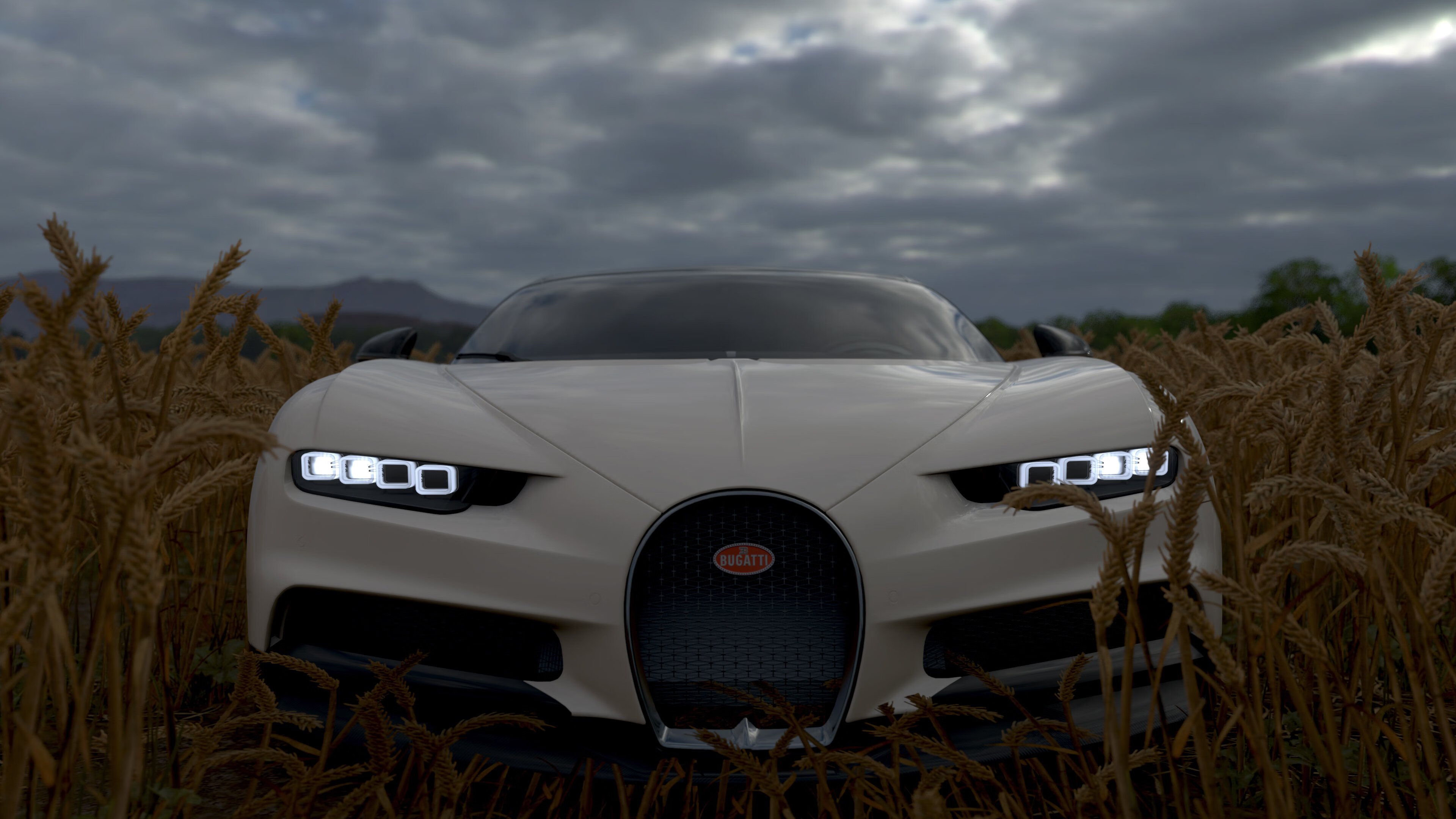 澳大利亚袋鼠队主帅：如何带领球队赢得每场比赛的关键，袋鼠澳大利亚度百科