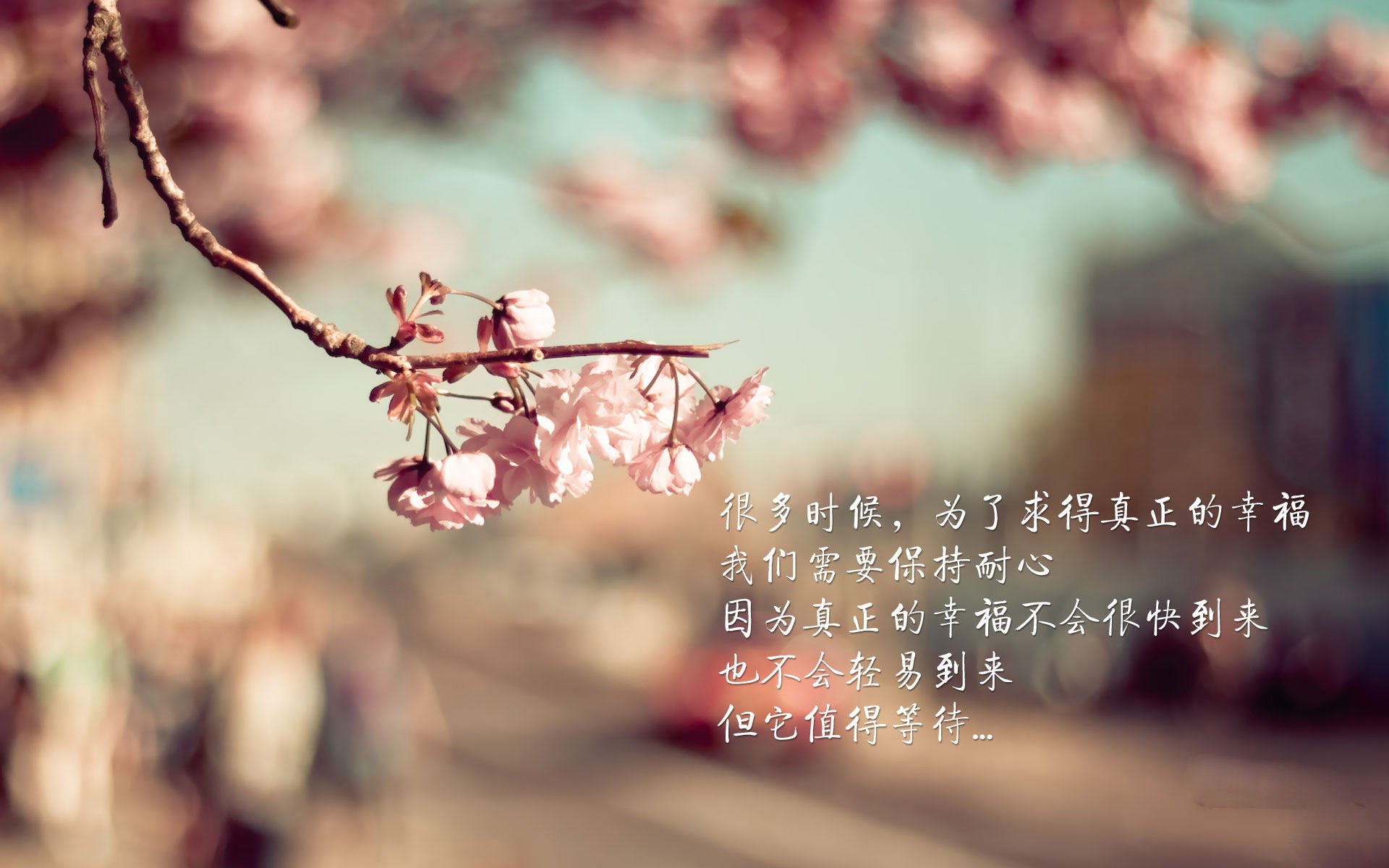 leyu乐鱼在线登录入口-羽毛球技术分解课程上线教学平台，羽毛球分解训练法