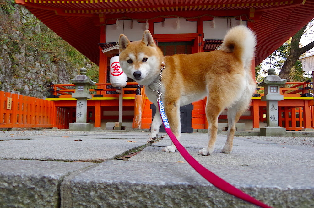 骑士核心谈团队变化称更有凝聚力,骑士心态介绍
