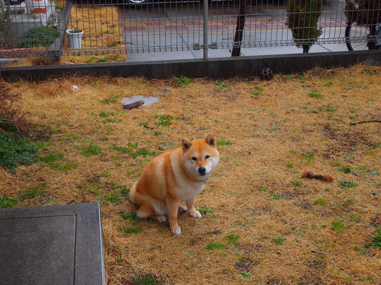 PSG稳定发挥优势,海湾者寻求突破口,海湾寻踪