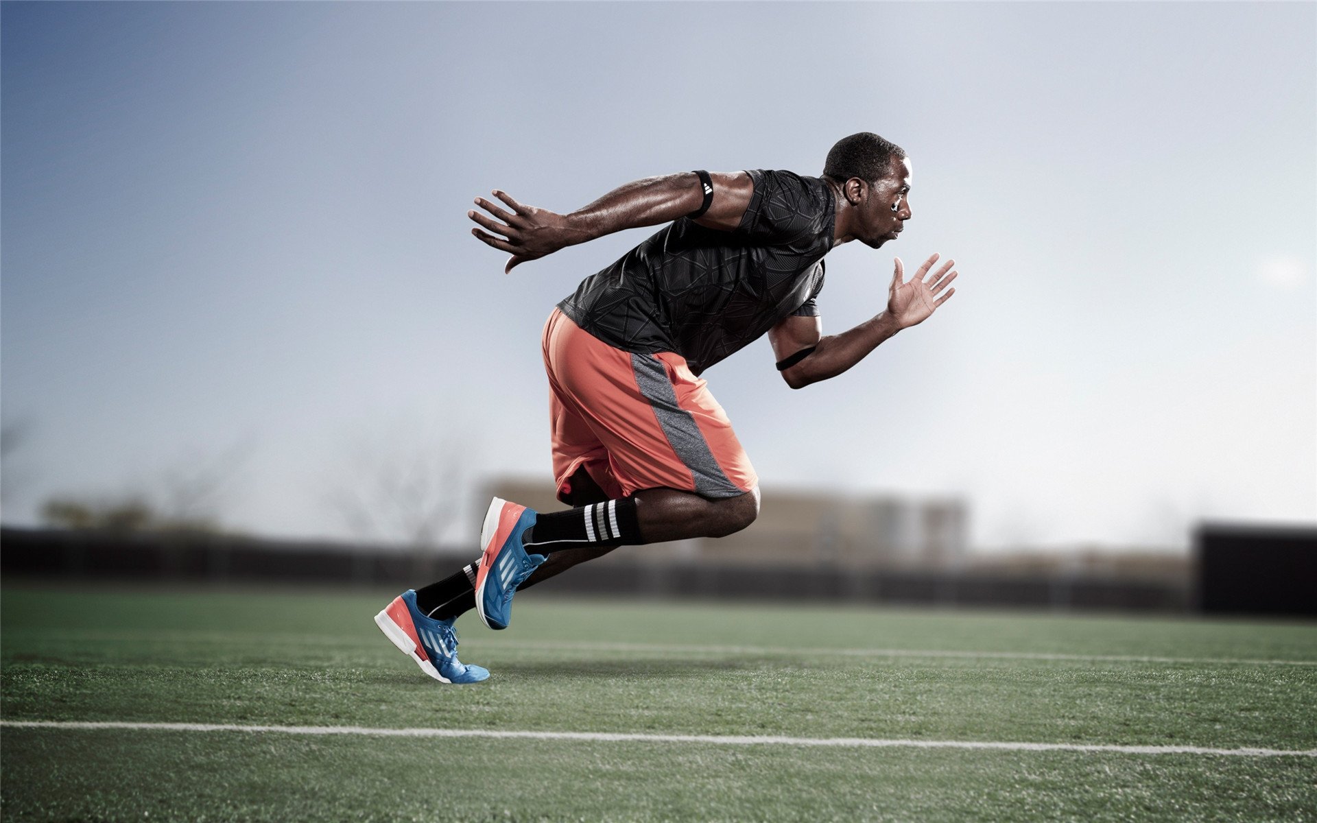 极限滑板运动普及情况，极限滑板场地